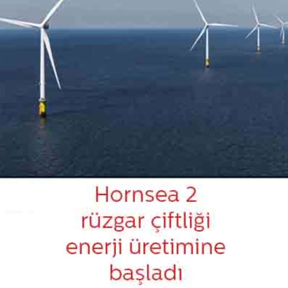 Dünyanın en büyük açık deniz rüzgar çiftliği olan Hornsea 2 enerji üretimine başladı